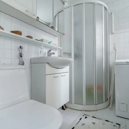 Wehost Vyokatu * הלסינקי